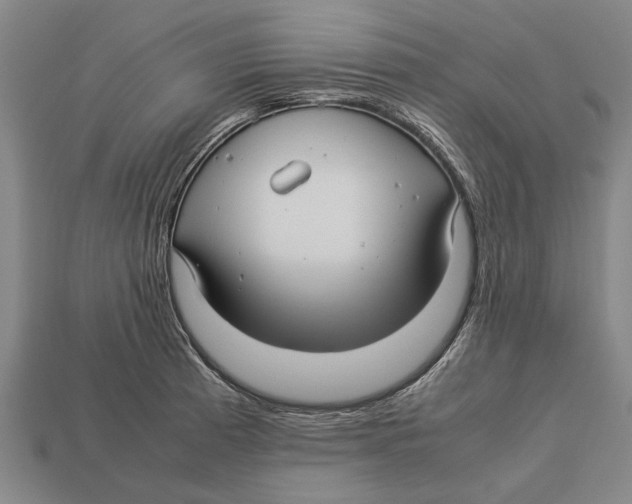 X0000113071185200909250923