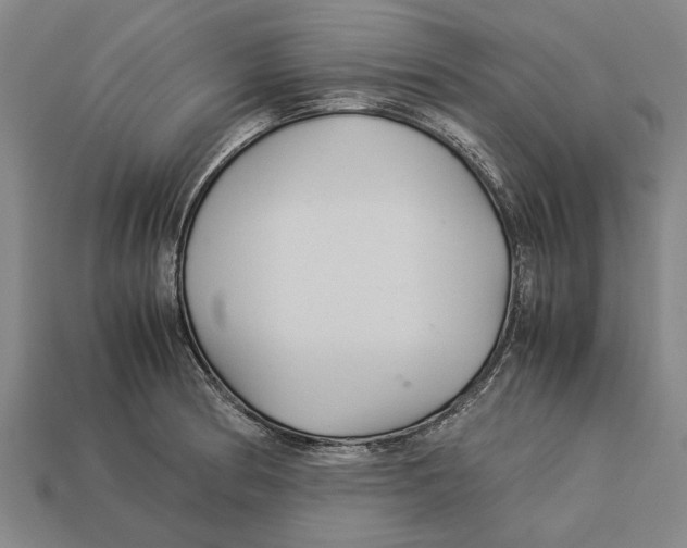 X0000113071186200909250923