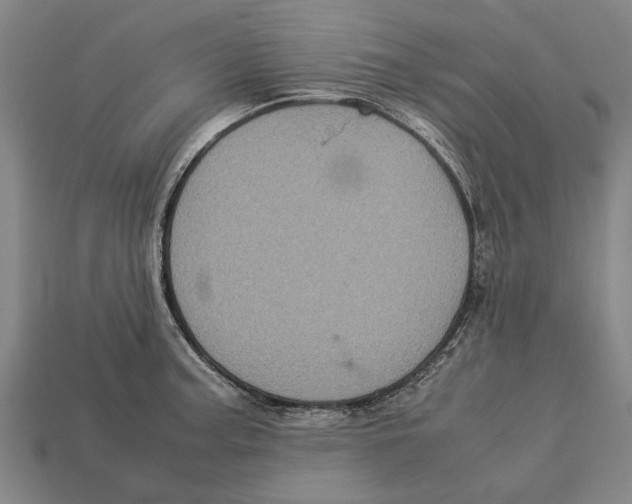 X0000113071187200909250923
