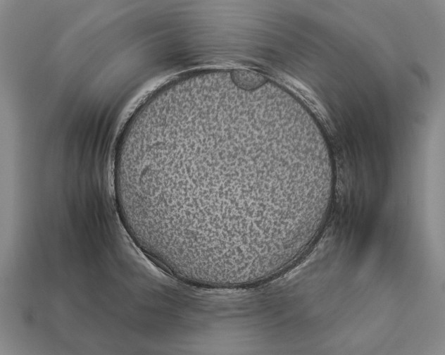 X0000113071188200909250923