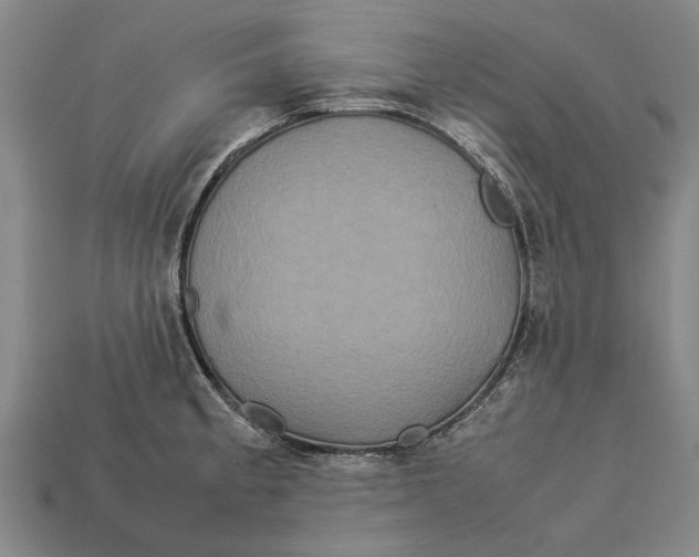 X0000113071189200909250923