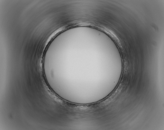 X0000113071190200909250923