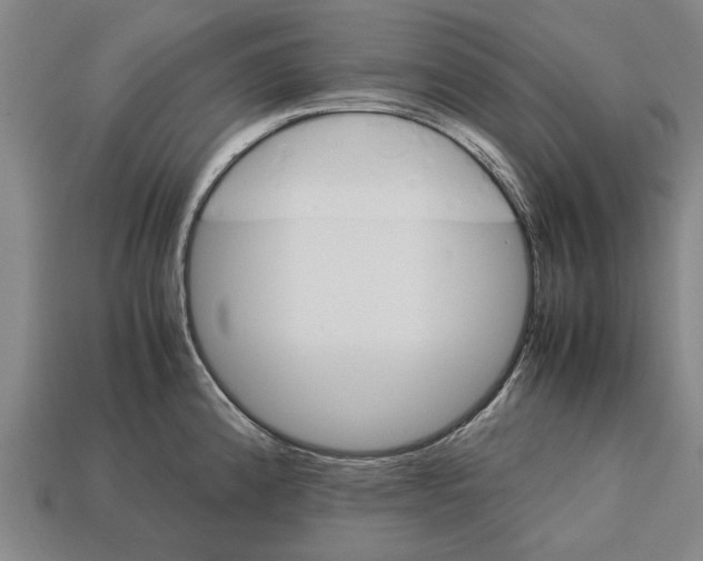 X0000113071192200909250923