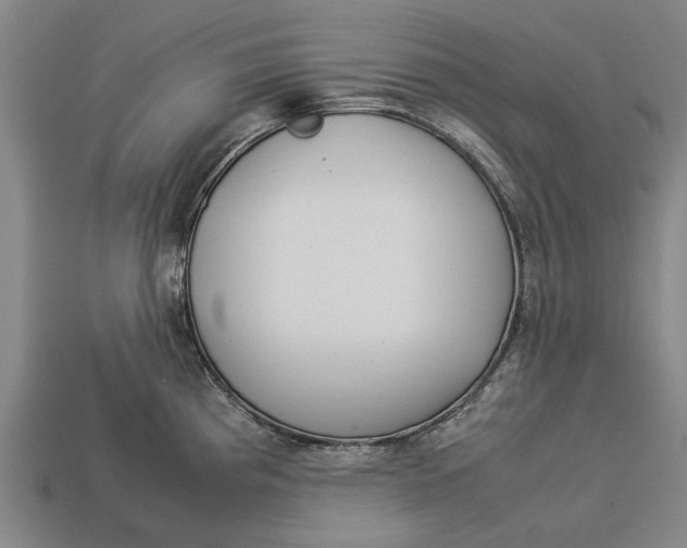 X0000113071193200909250923
