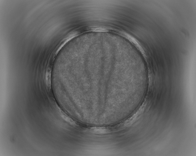 X0000113071194200909250923