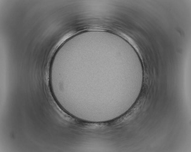 X0000113071195200909250923