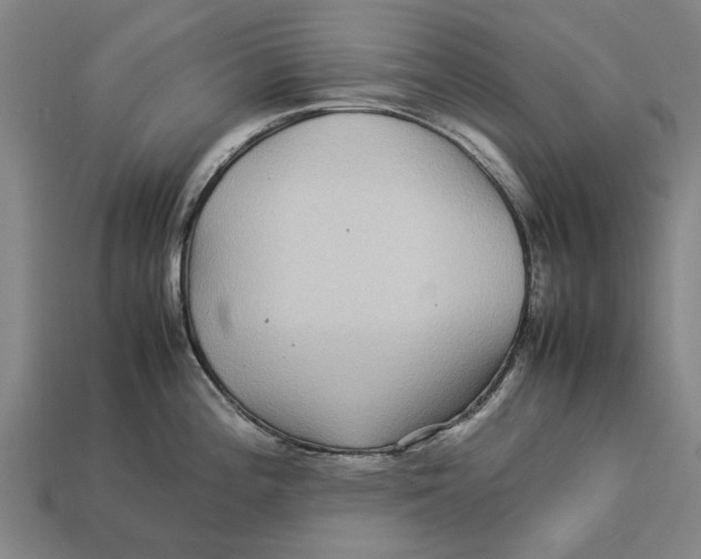 X0000113071196200909250923