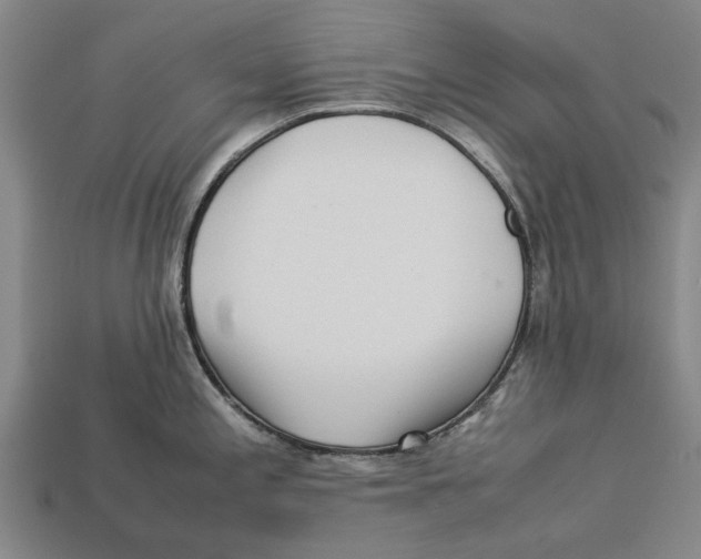X0000113071197200909250923