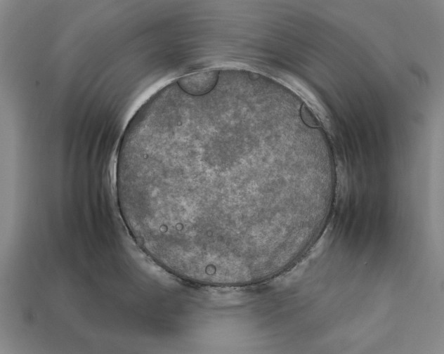 X0000113071198200909250923
