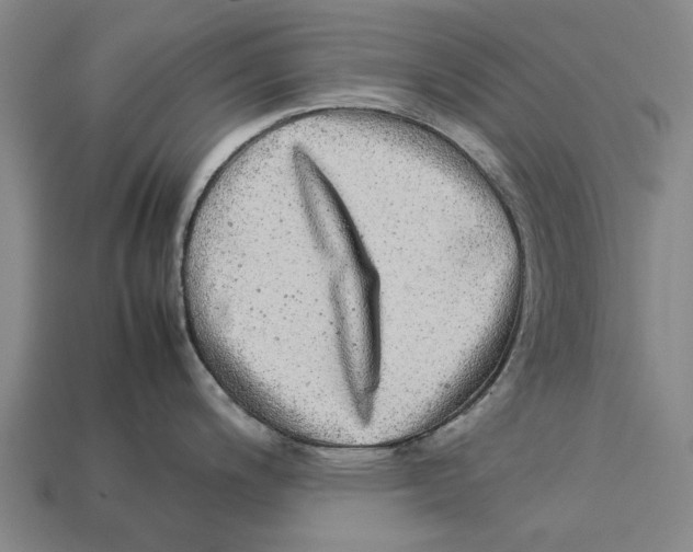 X0000113071200200909250923
