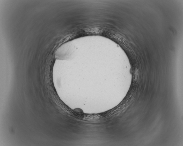 X0000113071201200909250922