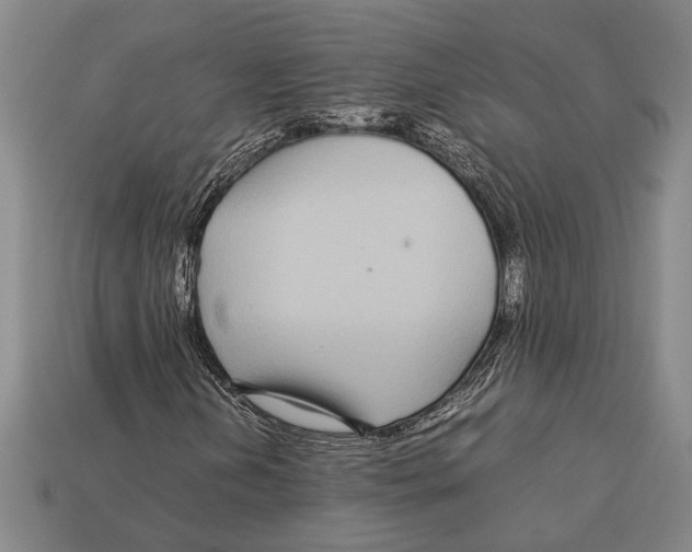 X0000113071202200909250922