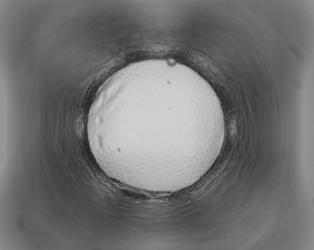 X0000113071204200909250922