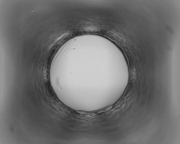 X0000113071205200909250922