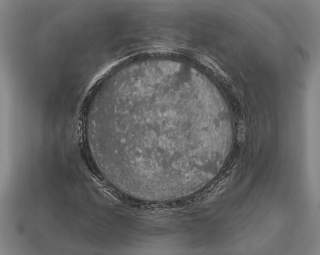 X0000113071208200909250922