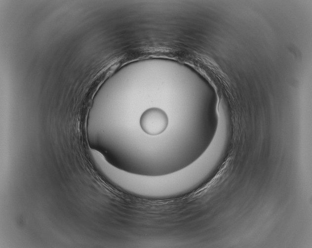 X0000113071209200909250922