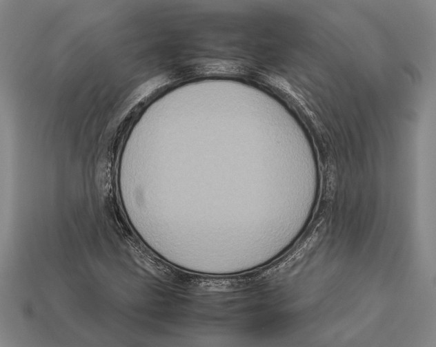 X0000113071211200909250922
