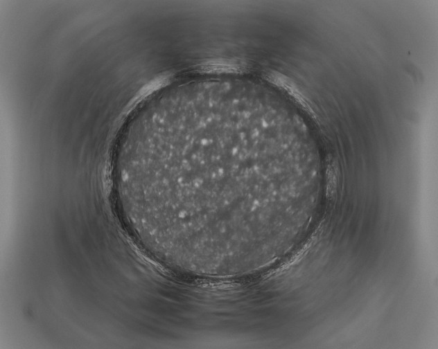 X0000113071213200909250922