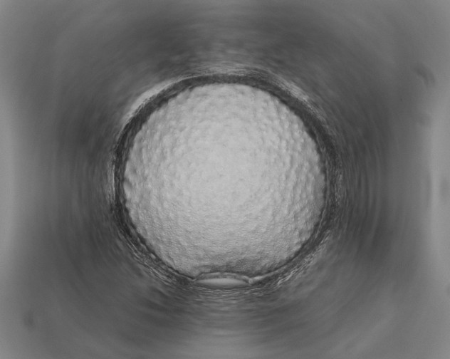 X0000113071214200909250922