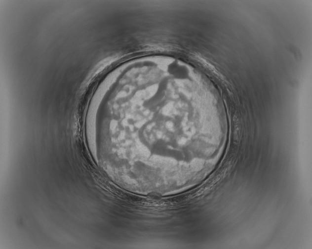 X0000113071215200909250922