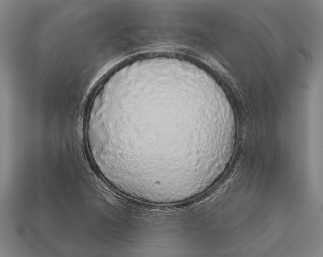 X0000113071216200909250922