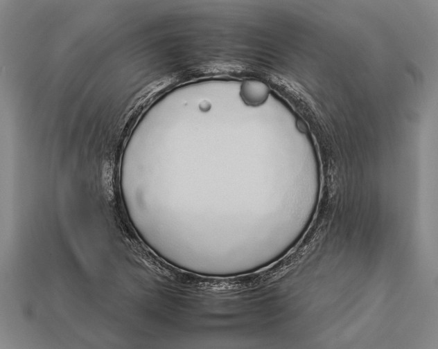 X0000113071217200909250922