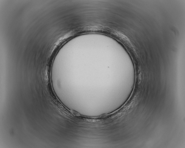 X0000113071218200909250922