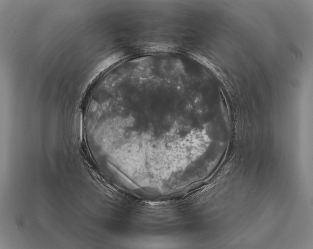 X0000113071219200909250922