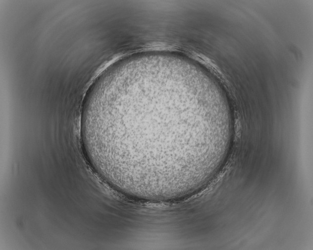 X0000113071220200909250922