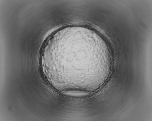 X0000113071222200909250922