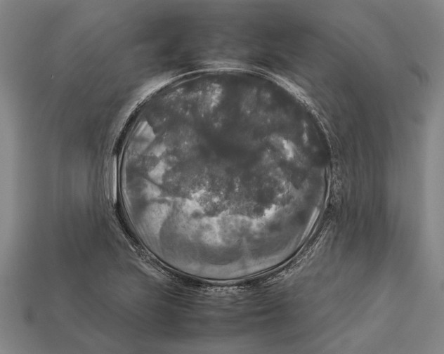 X0000113071223200909250922