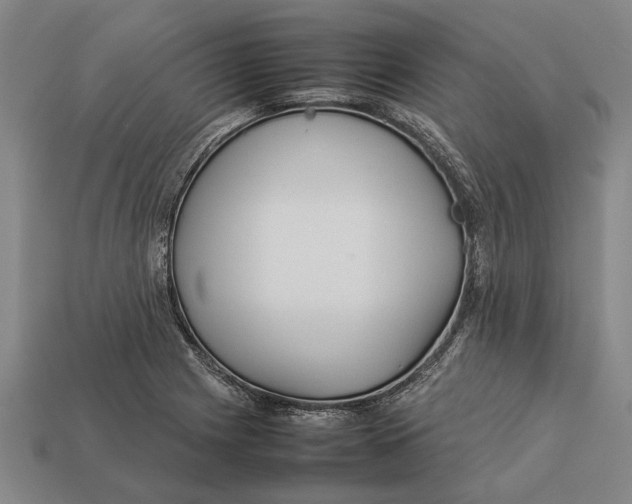 X0000113071225200909250922