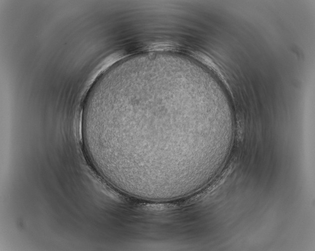 X0000113071227200909250922