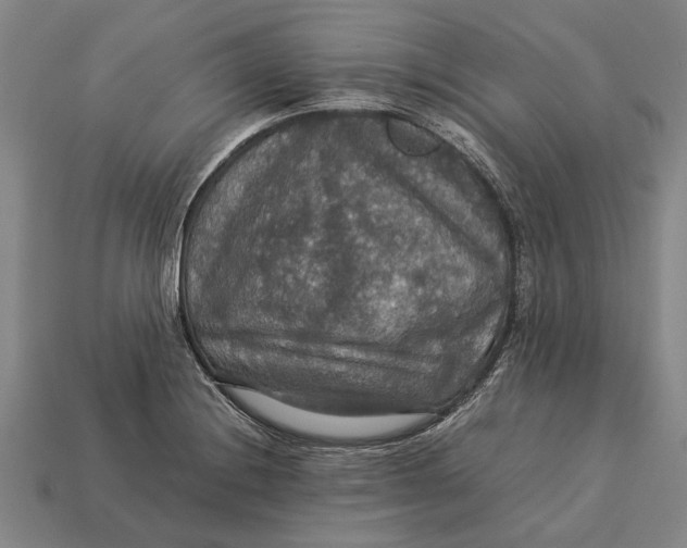 X0000113071228200909250922