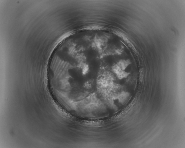 X0000113071229200909250922