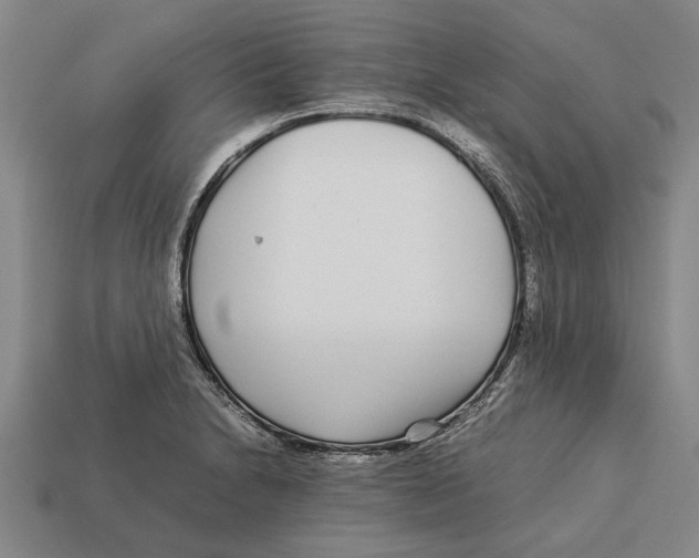 X0000113071230200909250922