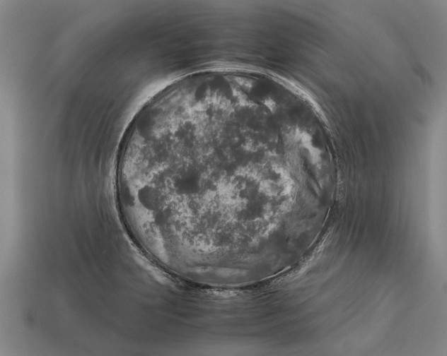 X0000113071231200909250922