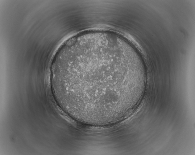 X0000113071232200909250922