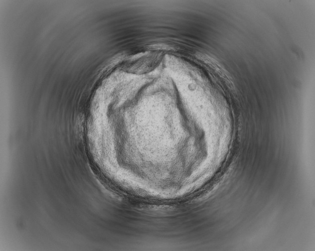 X0000113071233200909250922