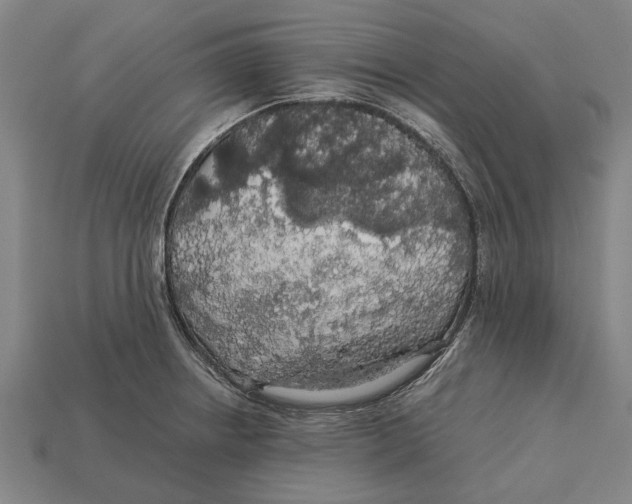 X0000113071234200909250922