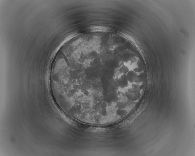 X0000113071235200909250922