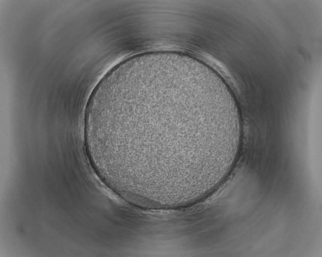X0000113071236200909250922