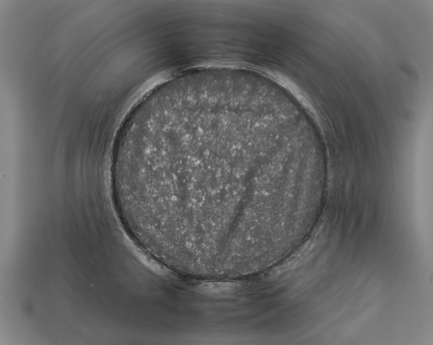 X0000113071237200909250922