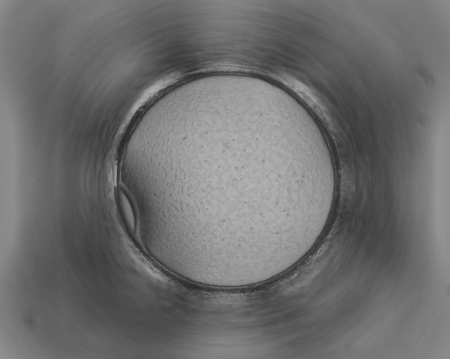 X0000113071238200909250922