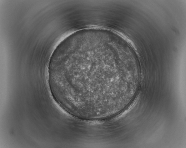 X0000113071239200909250922