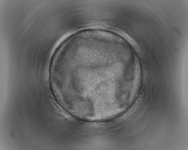X0000113071240200909250923