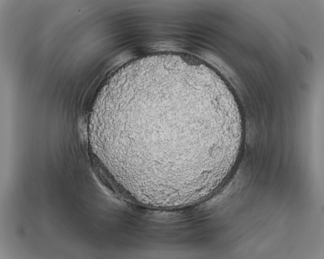 X0000113071241200909250923
