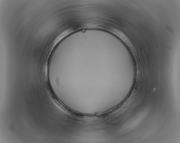 X0000113071242200909250923