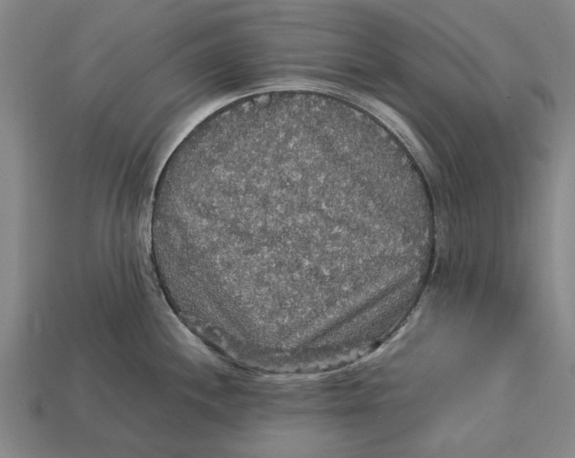 X0000113071244200909250923