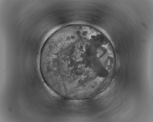 X0000113071245200909250923